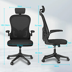 BIGZZIA Chaise de Bureau - Naspaluro - Ergonomique Siège - Fauteuil avec 2D Accoudoirs, Hauteur Appui-tête Soutien Lombaire Dossier Règalable