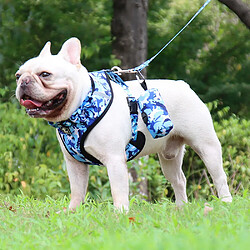 Equipement de transport pour chien