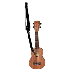 Ukulele Hawaii Guitare Kit