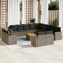 vidaXL Salon de jardin avec coussins 14 pcs gris résine tressée 