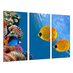 Cadre photo poster multicolore 97 x 62 cm