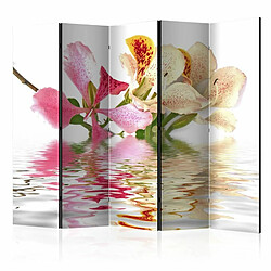 Paris Prix Paravent 5 Volets Tropical Flowers Orchid Tree Bauhinia 172x225cm