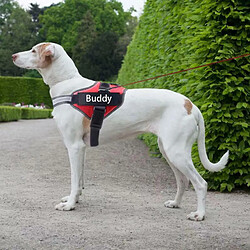 Avis Justgreenbox Gilet Réfléchissant Réfléchissant pour Chien Harnais Personnalisé, Vert, L