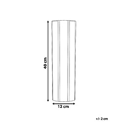 Avis Beliani Vase à fleurs ESTELLA Céramique 40 cm Blanc