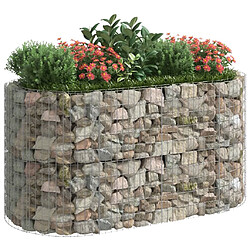 Avis Maison Chic Jardinière,Lit surélevé - Bac à fleurs - pot de fleur à gabion Fer galvanisé 200x100x100 cm -GKD42096