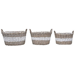 Maison Chic Lot de 3 Jardinières,Lits surélevés - Bac à fleurs - pot de fleur Osier avec doublure en PE -GKD94426