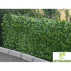 Jet7Garden Gamme haie feuilles de rosier 1,00mx3m