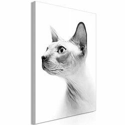 Paris Prix Tableau Imprimé Hairless Cat 80 x 120 cm 