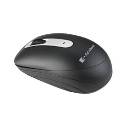 Dynabook Souris sans fil silencieuse W90