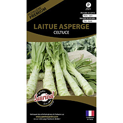 Sanrival Graines potagères premium laitue Asperge