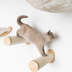 Acheter RHR Quality RHRQuality Mur d'Escalade Chats - Sets de Poteaux de Sisal (Beige)