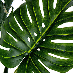 Avis Plante décorative Alexandra House Living Plastique Monstera 170 cm