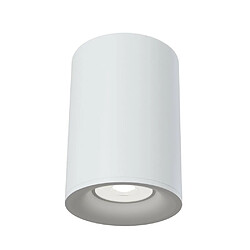 Avis MAYTONI Plafonnier encastré blanc, 1 lumière, GU10