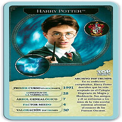 HARRY POTTER Puzzle 1000 pièces (12319), multicolore (ELEVEN FORCE 1)