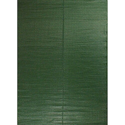 Jardindeco Tapis extérieur en polypropylène Spargi 1747 vert 180 x 280 cm. Tapis extérieur en polypropylène Spargi 1747 vert 180 x 280 cm