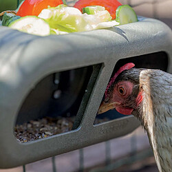 Greenlife Mangeoire poules en plastique recyclé.