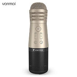 Yanmai SF-999 Microphone à main sans fil Micro Smartphone Lecteur de karaoké 6 effets sonores Haut-parleur intégré Batterie rechar