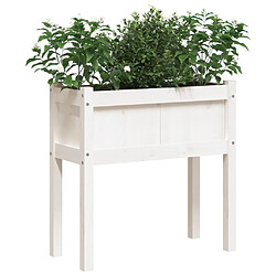 Acheter Maison Chic Jardinière,Bac à fleurs - pot de fleurs avec pieds blanc 70x31x70 cm bois de pin massif -GKD81983