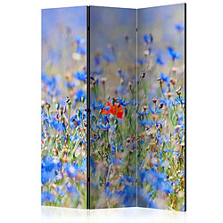 Artgeist Paravent - A sky-colored meadow - cornflowers [Room Dividers] [135x172] 