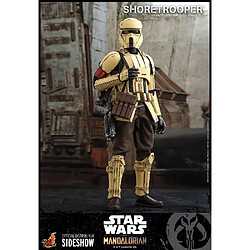 Hot Toys Star Wars : The Mandalorian - Shoretrooper Figure 1/6 pas cher