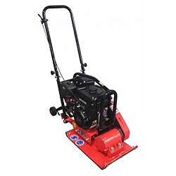 Brick Plateau vibrant 5.5hp Moteur Briggs & Stratton