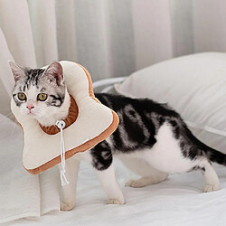 Avis Pets E-Collar Comfy Cone élisabéthain Protecteur Anti-morsure Chat Chien Toast_L