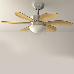 Cecotec Ventilateur de plafond EnergySilence Aero 350