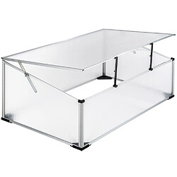 Helloshop26 Mini serre de jardin aluminium 102 x 61 cm polycarbonate 1608024