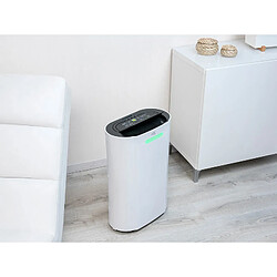 Sichler Haushaltsgerate Déshumidificateur 20 L/jour compatible Amazon Alexa & Google Assistant LFT-420 