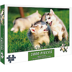 Universal Puzzle adulte haute dureté 1000 pièces (couleur 31) 