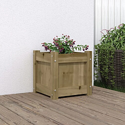 Maison Chic Jardinière,Bac à fleurs - pot de fleur 31x31x31 cm bois de pin imprégné -GKD13067