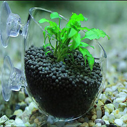 Acheter Plante aquatique coupe pot aquarium aquarium aquascaping 6.5x7cm