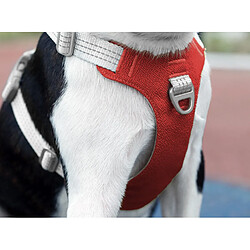 Universal Animaux de compagnie Chiens cellulaires Entraînement pour chiens Ceinture thoracique réflectrice Petit et grand chien avec gilet Cordon de protection extérieur réglable | Harnais (rouge) pas cher