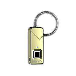 Zhisheng Electronics Cadenas Numérique à Empreinte Digitale ZH-FL-S2