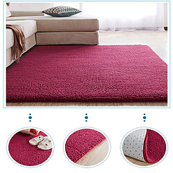 LUUCOZK Tapis moelleux en fausse fourrure, tapis à poils longs pour chambre à coucher, salon, violet-200x300 cm