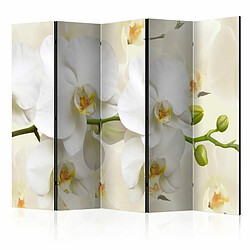 Paris Prix Paravent 5 Volets Orchid Branch 172x225cm