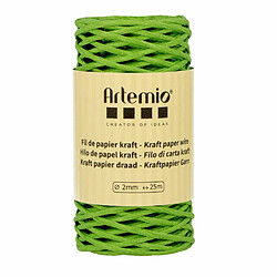 Artemio Fil de papier kraft vert prairie 2mm x 25 m