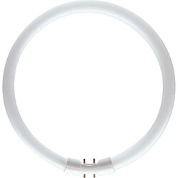 Philips tube fluo master tl5 circulaire c-t5 40 watts cc 840 2gx13 4000k