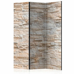 Paris Prix Paravent 3 Volets Stony Gracefulness 135x172cm 