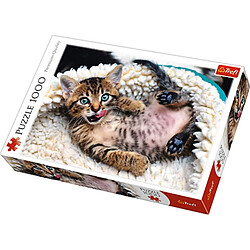 Trefl-Puzzle-Chaton-1000 Pièces, 10448 