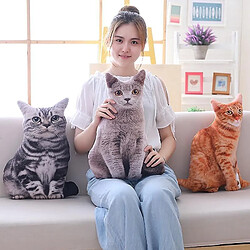 Universal 50cm simulation chat peluche douce coussin réalité - canapé décoration dessin animé peluche (gris)