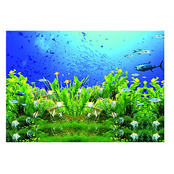 Toile de fond adhésive simple d'image de poisson d'usine de la définition 3D pour l'aquarium XS