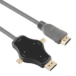 Wewoo D65A 1,8 m DisplayPort In & Mini DP In & Câble USB-C / Type-C In vers HDMI 4K Sortie vidéo