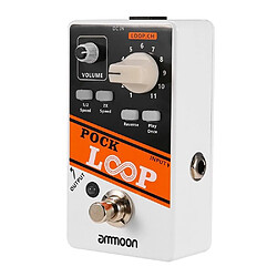 Justgreenbox LOOP Looper Pédale d'effet guitare 11 Loopers Temps d'enregistrement Prend en charge les fonctions de lecture inversée à vitesse 1/2 et 2X True Bypass - T3654657587826