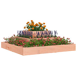 Avis Maison Chic Jardinière,Bac à fleurs - pot de fleur 80x80x27 cm Bois de douglas massif -GKD12673