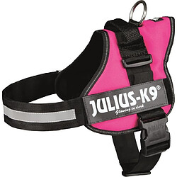 Julius K9 Harnais Power Julius-K9 - 1 - L : 66-85 cm-50 mm - Fuchsia - Pour chien Harnais Power Julius-k9 - 1 - L : 66-85 Cm-50 Mm - Fuchsia - Pour Chien-