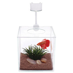 Aquarium Cubus Betta Kit MARINA 