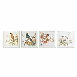 Cadre DKD Home Decor Oiseau (60 x 2,5 x 60 cm) (4 Unités) 