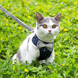 Avis Wewoo Laisse pour chien universel animaux de compagnie dans le doscorde de tractioncordechaînelaisse de chientaille M rose