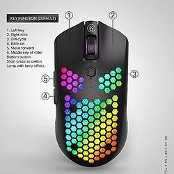 Universal X2 Wireless Mouse RGB Double de jeu Mécanique de jeu 12000 (DPI) souris d'ordinateur rechargeable pas cher